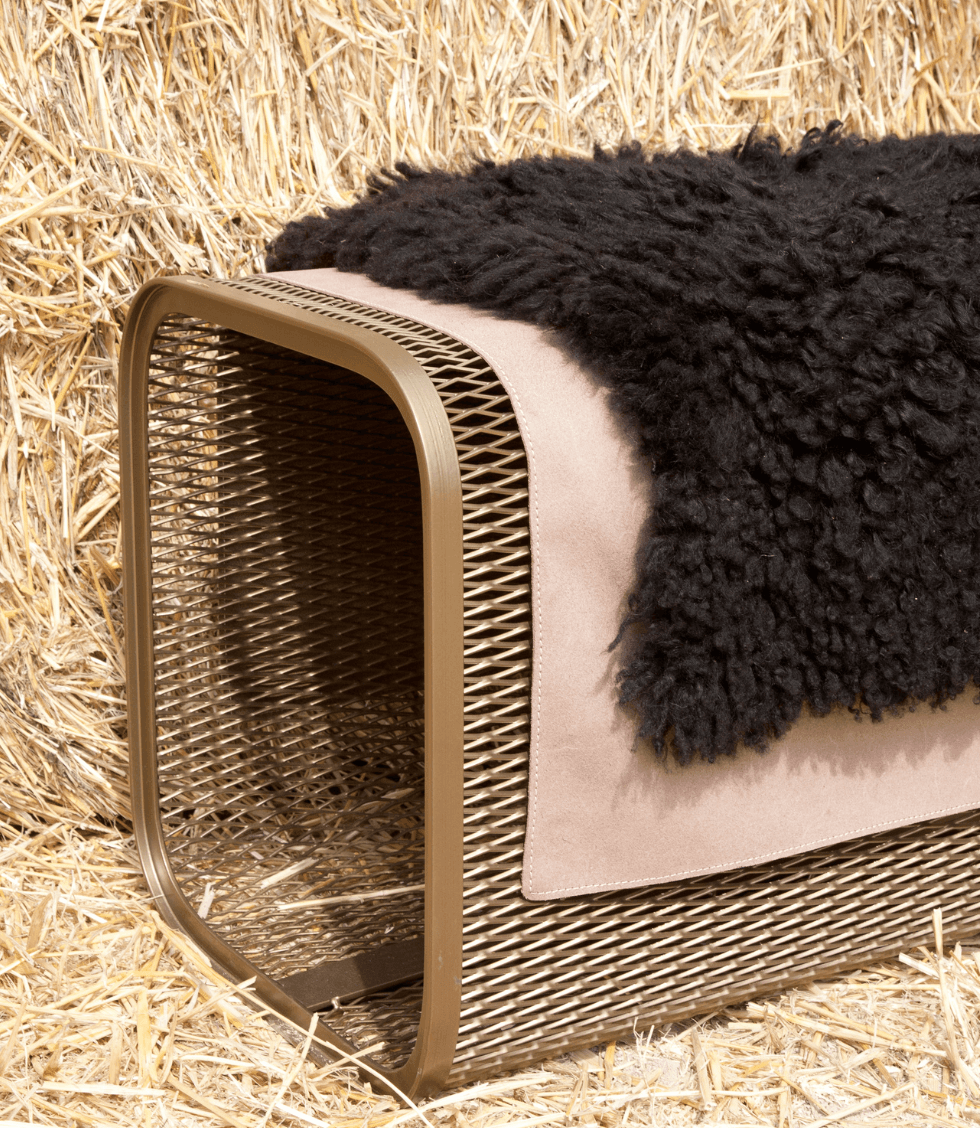 Caballito piccolo thumbnail 5